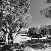 Review photo of Pine Juniper Campground — Navajo Lake State Park by KEVIN K., June 16, 2022