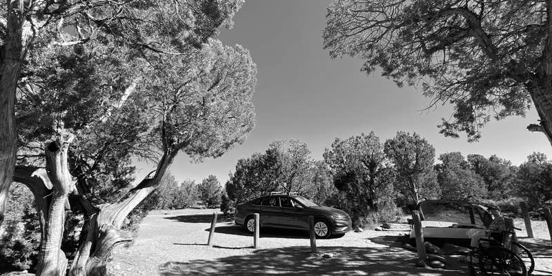 Camper submitted image from Pine Juniper Campground — Navajo Lake State Park