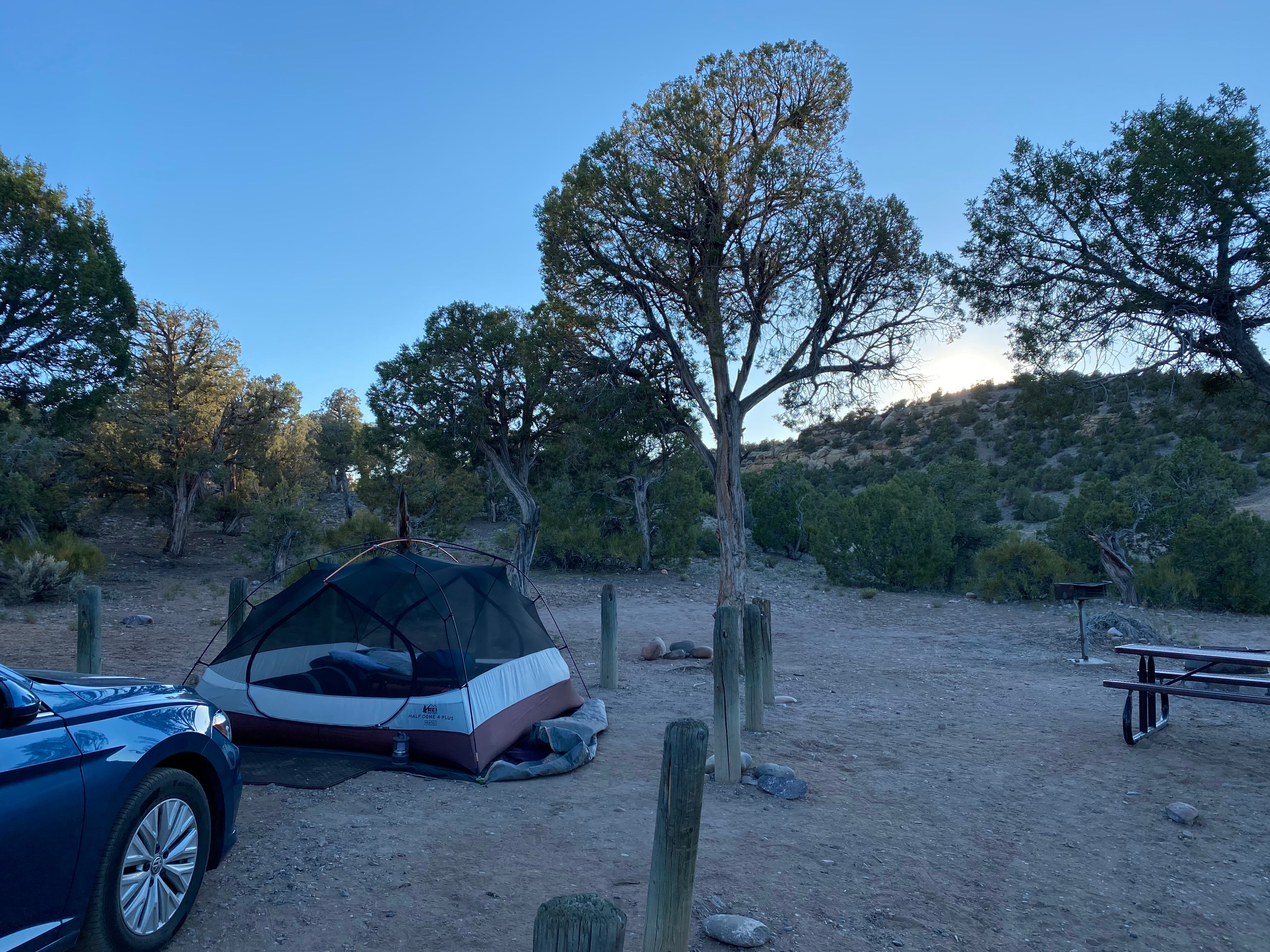 Camper submitted image from Pine Juniper Campground — Navajo Lake State Park - 2