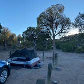 Review photo of Pine Juniper Campground — Navajo Lake State Park by KEVIN K., June 16, 2022