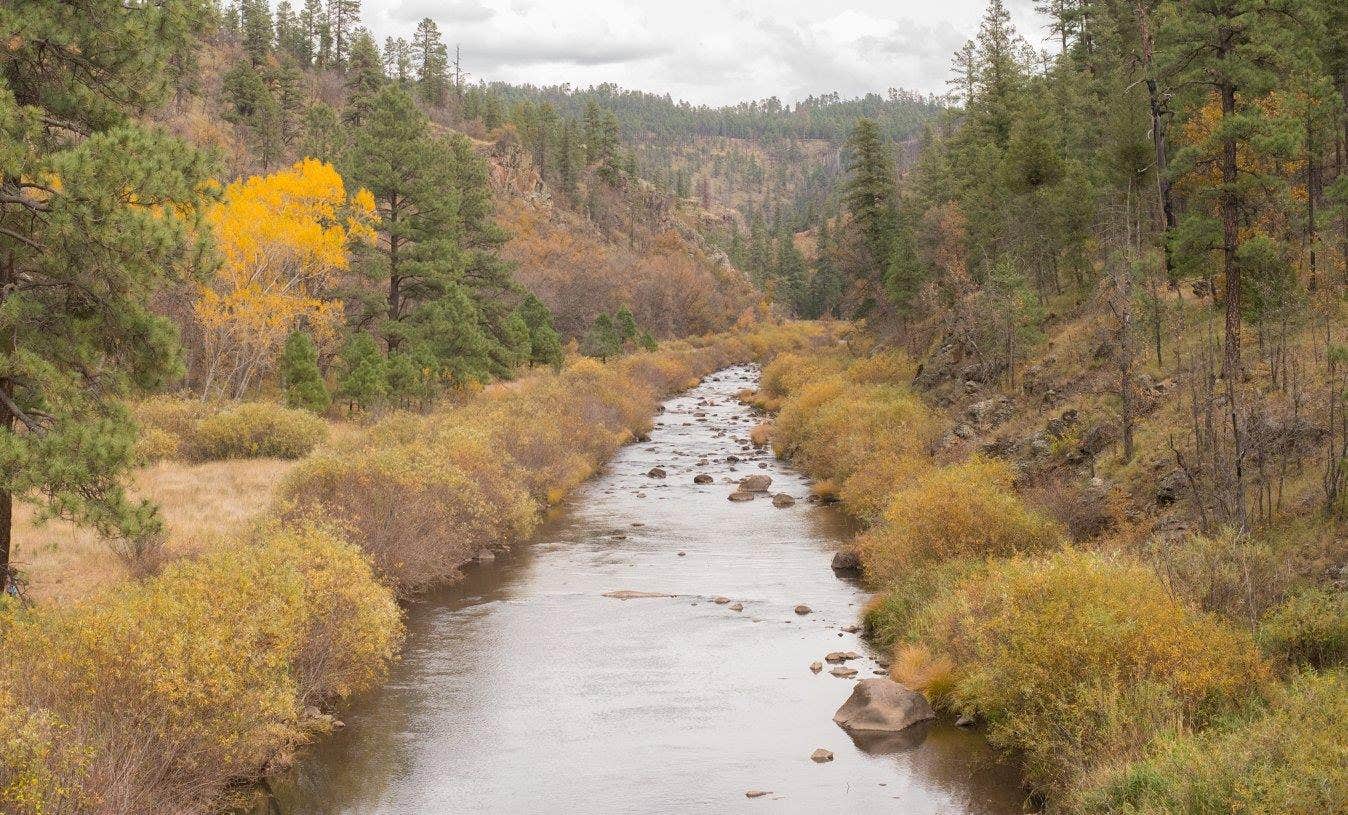 Camper-submitted photo at Black River Dispersed near Whiteriver, AZ