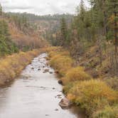 Review photo of Black River Dispersed by Brittany N., July 16, 2018