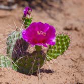 Review photo of Horsethief Campground by Sophie , June 16, 2022