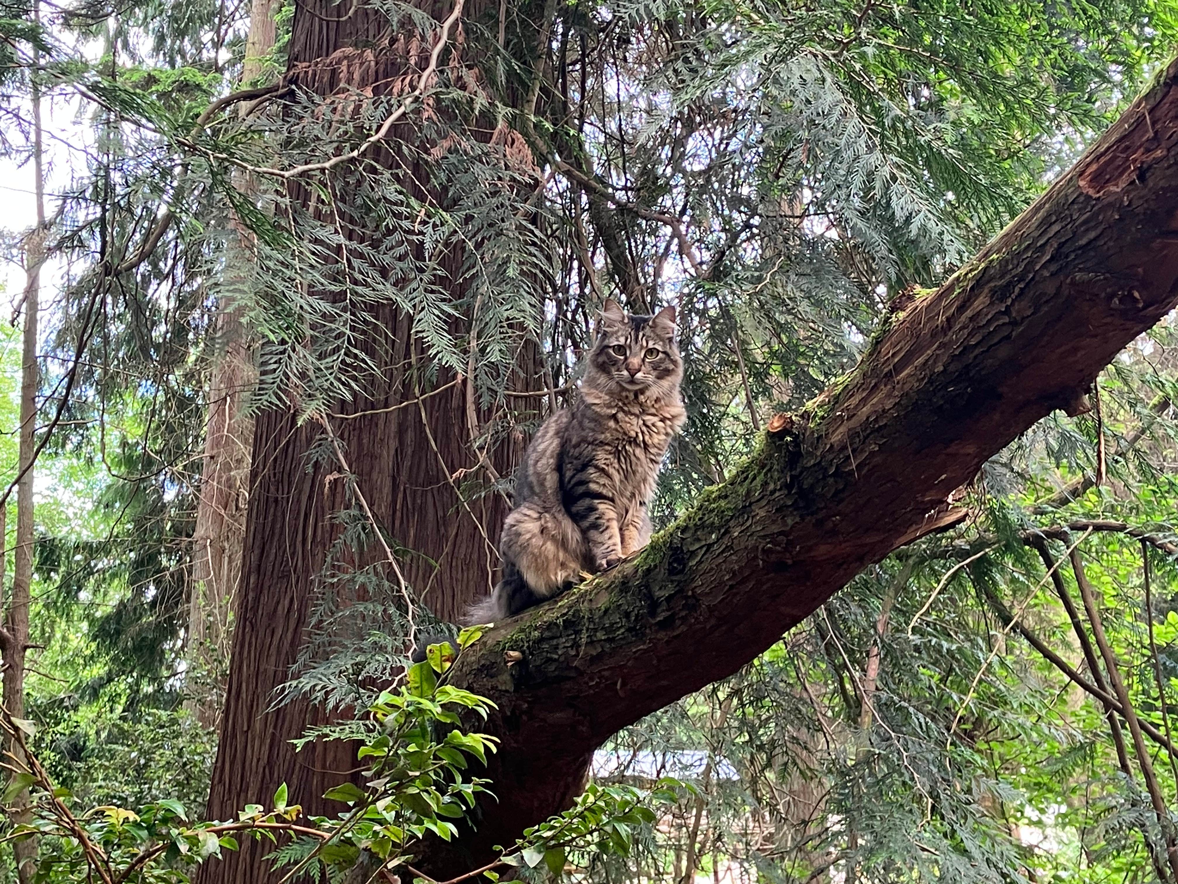 Camper-submitted photo at Big Country near Everett, WA