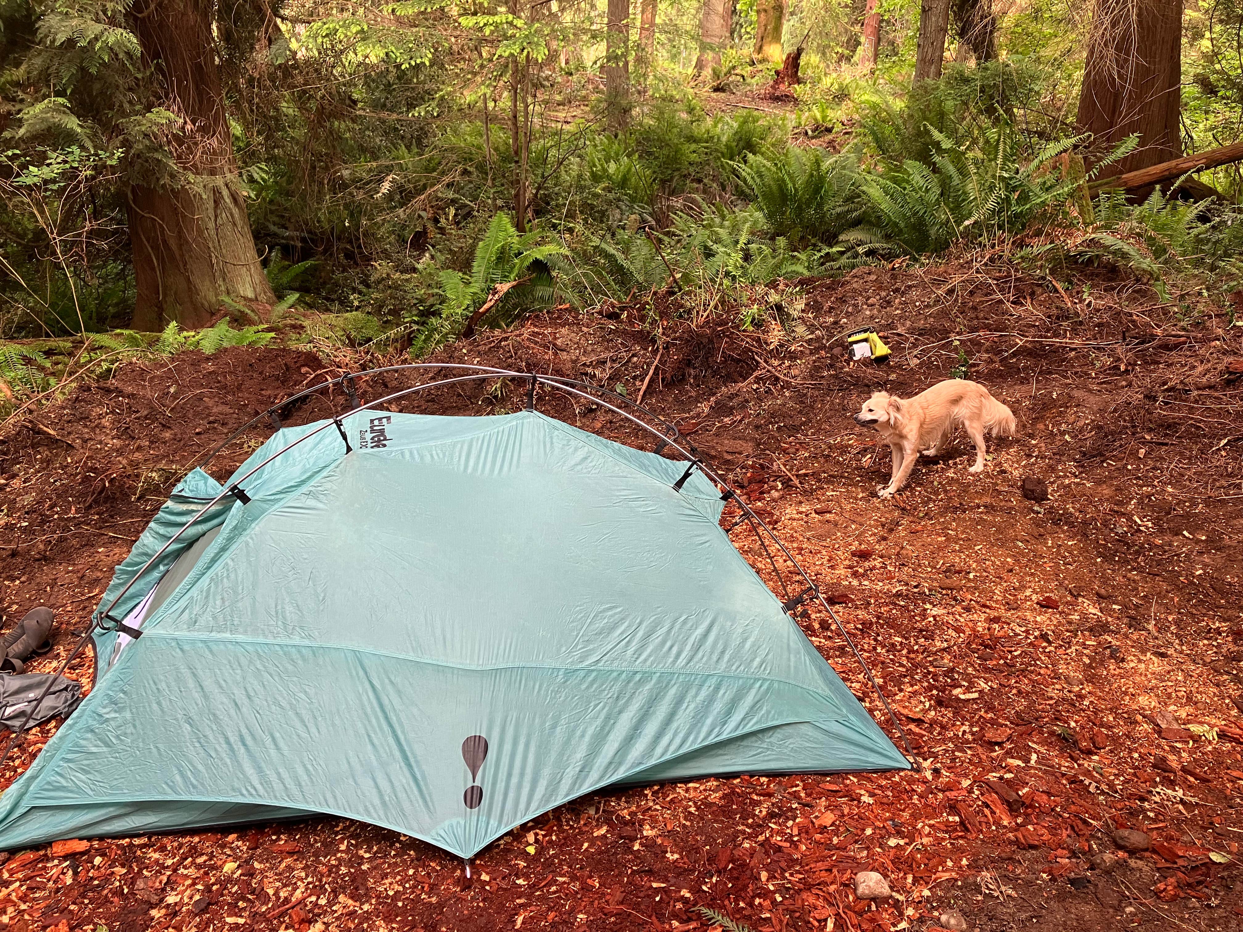 Carolyn U.'s photo at Big Country near Marysville, WA