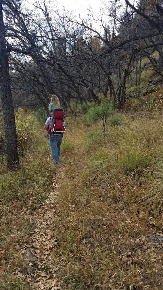 Camping near White Crossing Camping along the Black River: Black River Dispersed, Apache-Sitgreaves National Forest, Arizona