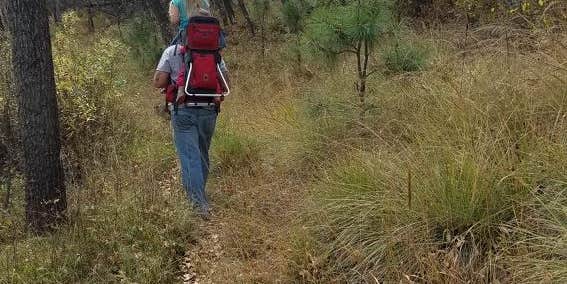 Camper submitted image from Black River Dispersed