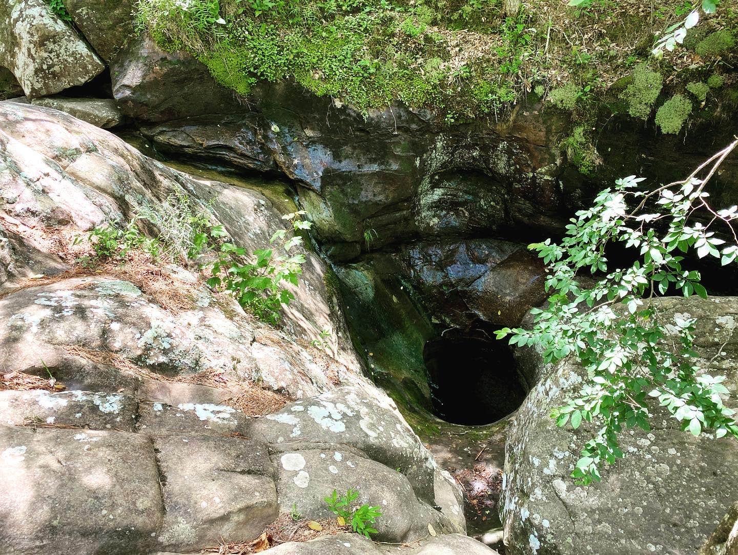 Camper-submitted photo at Macks Pines near Cleveland, AR