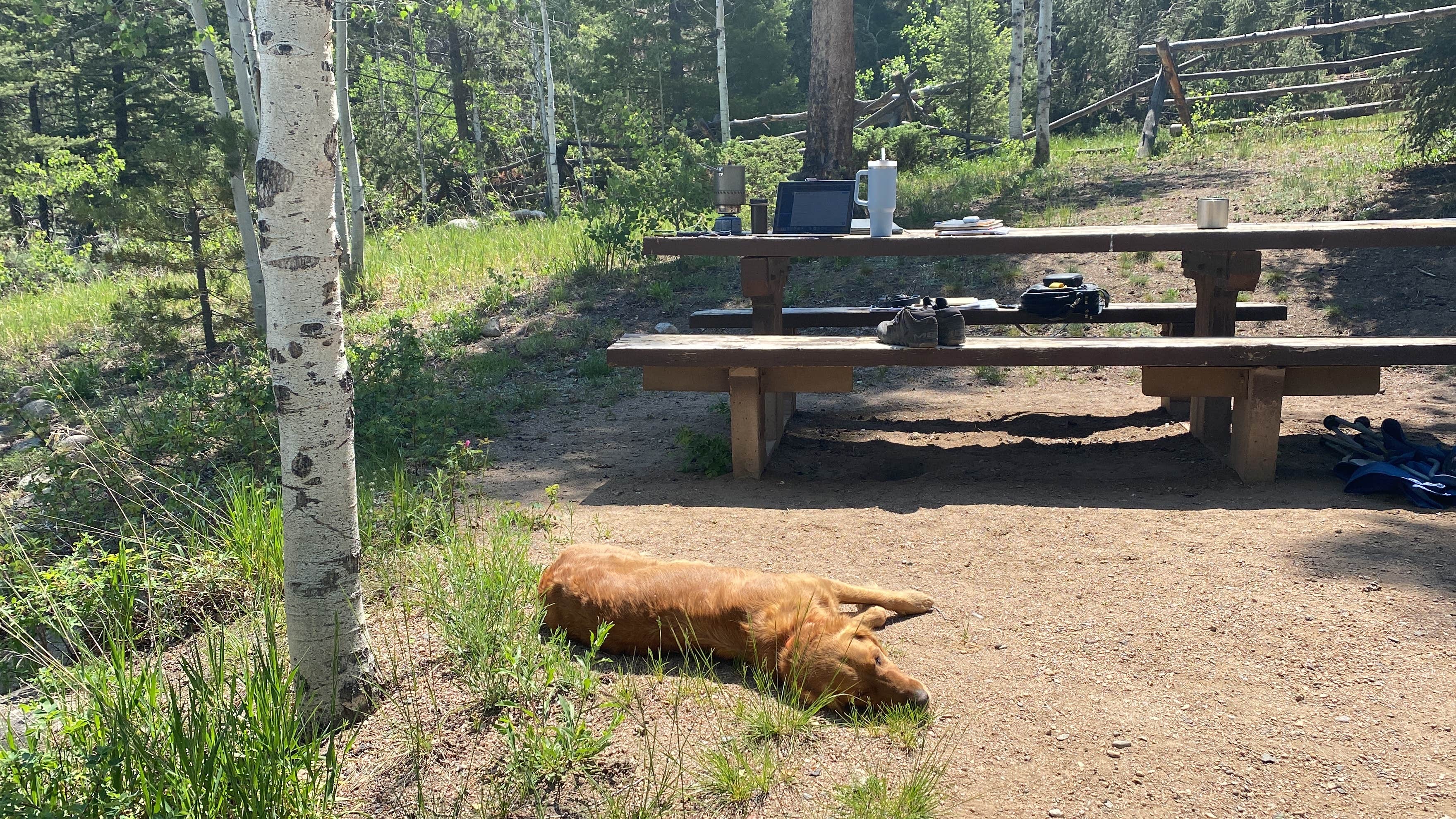 Camping near One Mile Campground: One Mile, Almont, Colorado