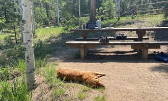 Camping near Lodgepole Campground: One Mile, Almont, Colorado