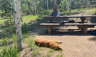 Camping near Lodgepole Campground: One Mile, Almont, Colorado