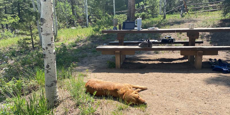 Camper submitted image from One Mile