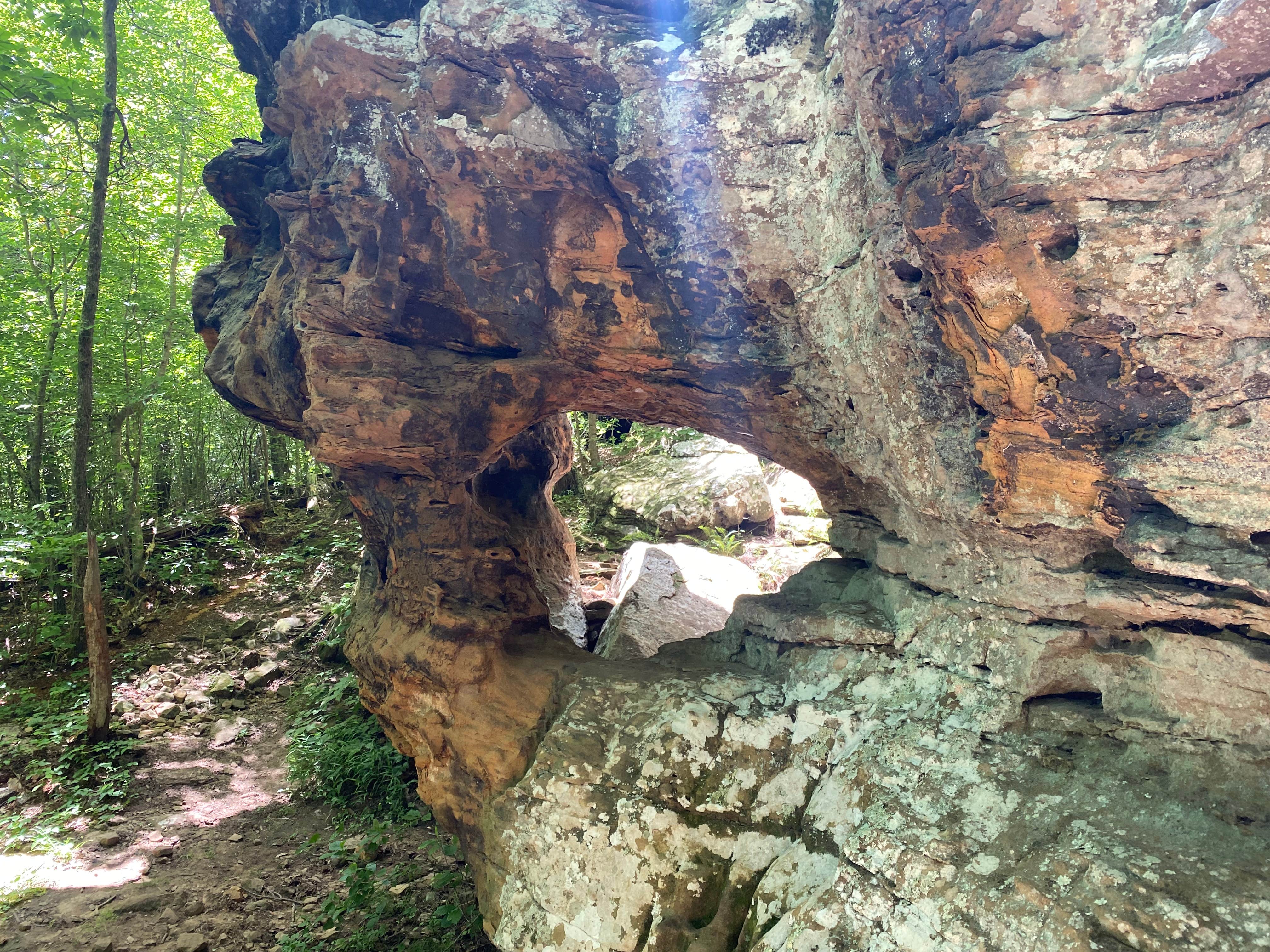 Camper-submitted photo at Macks Pines near Cleveland, AR