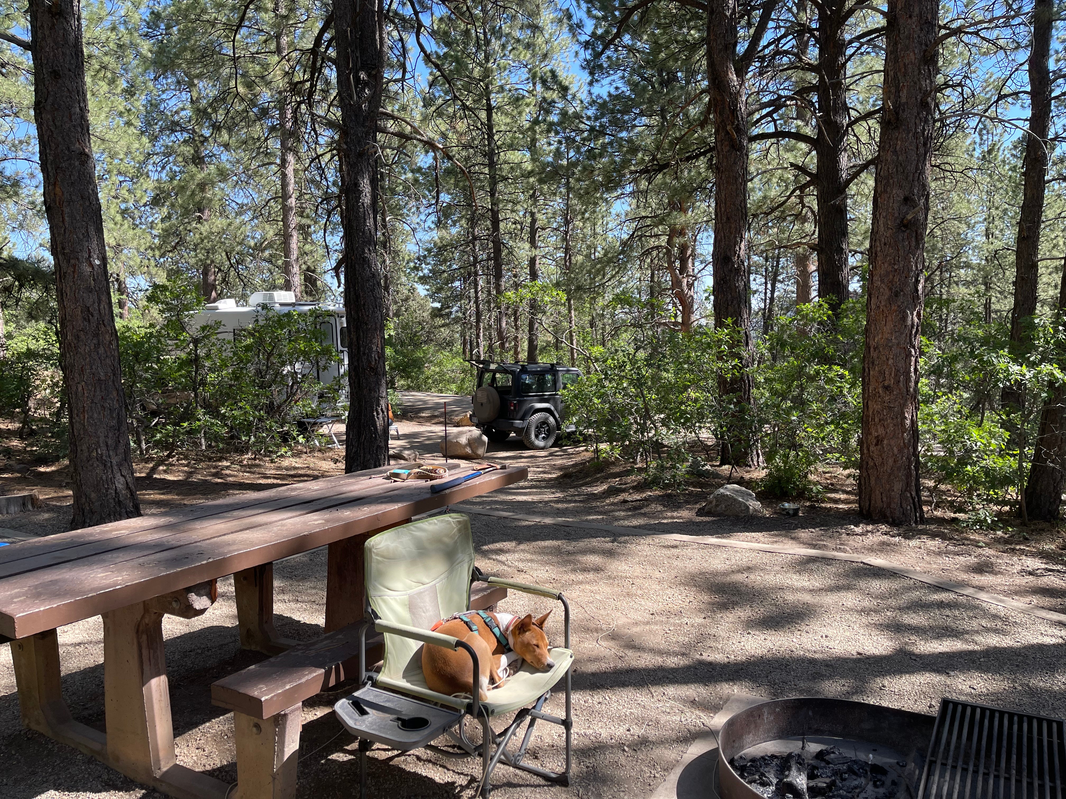 Camper submitted image from Target Tree Campground - 3