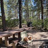 Review photo of Target Tree Campground by Cindy H., June 16, 2022