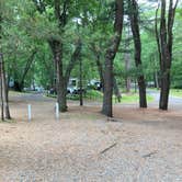 Review photo of The Pines Camping Area by John , June 16, 2022