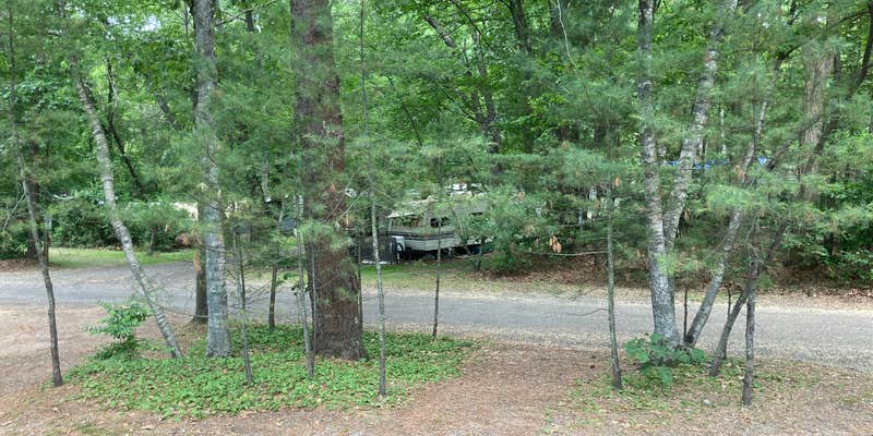Camper submitted image from The Pines Camping Area