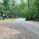 Review photo of The Pines Camping Area by John , June 16, 2022
