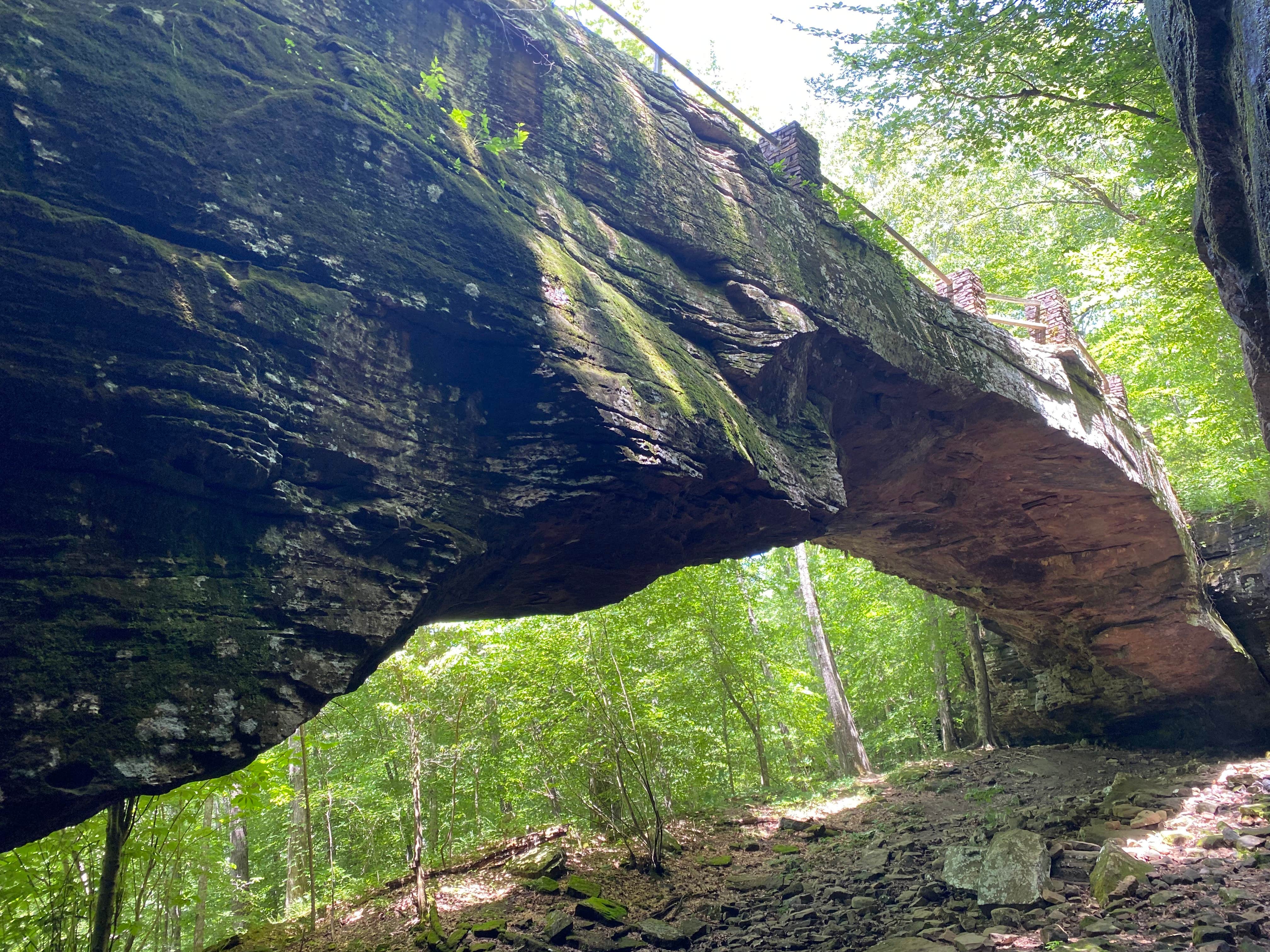 Camper-submitted photo at Macks Pines near Cleveland, AR