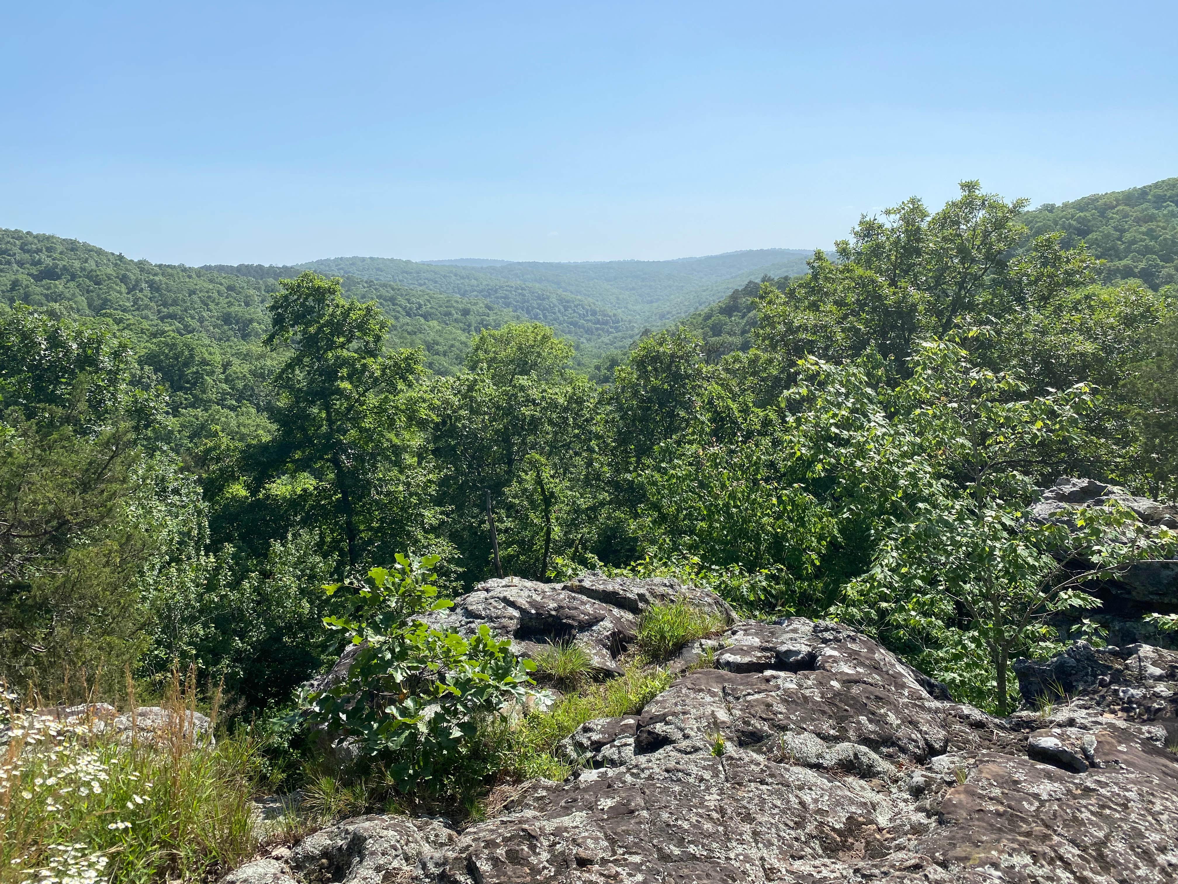 Camper-submitted photo at Macks Pines near Cleveland, AR