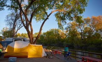 Cecil K.'s photo at Clear Lake Campground near Colusa, CA