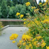 Review photo of Lake Sylvia State Park by ashley E., July 16, 2018