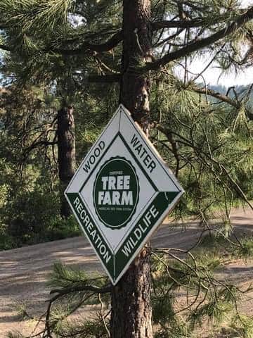 Camper-submitted photo at Parkside Mountain Ranch near Hayden Lake, ID