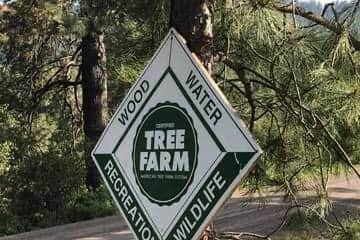 Parkside Ranch Parkside Mountain Ranch Camping | Plummer, Idaho
