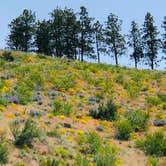 Review photo of Antilon Lake Campground by Christine R., June 9, 2022