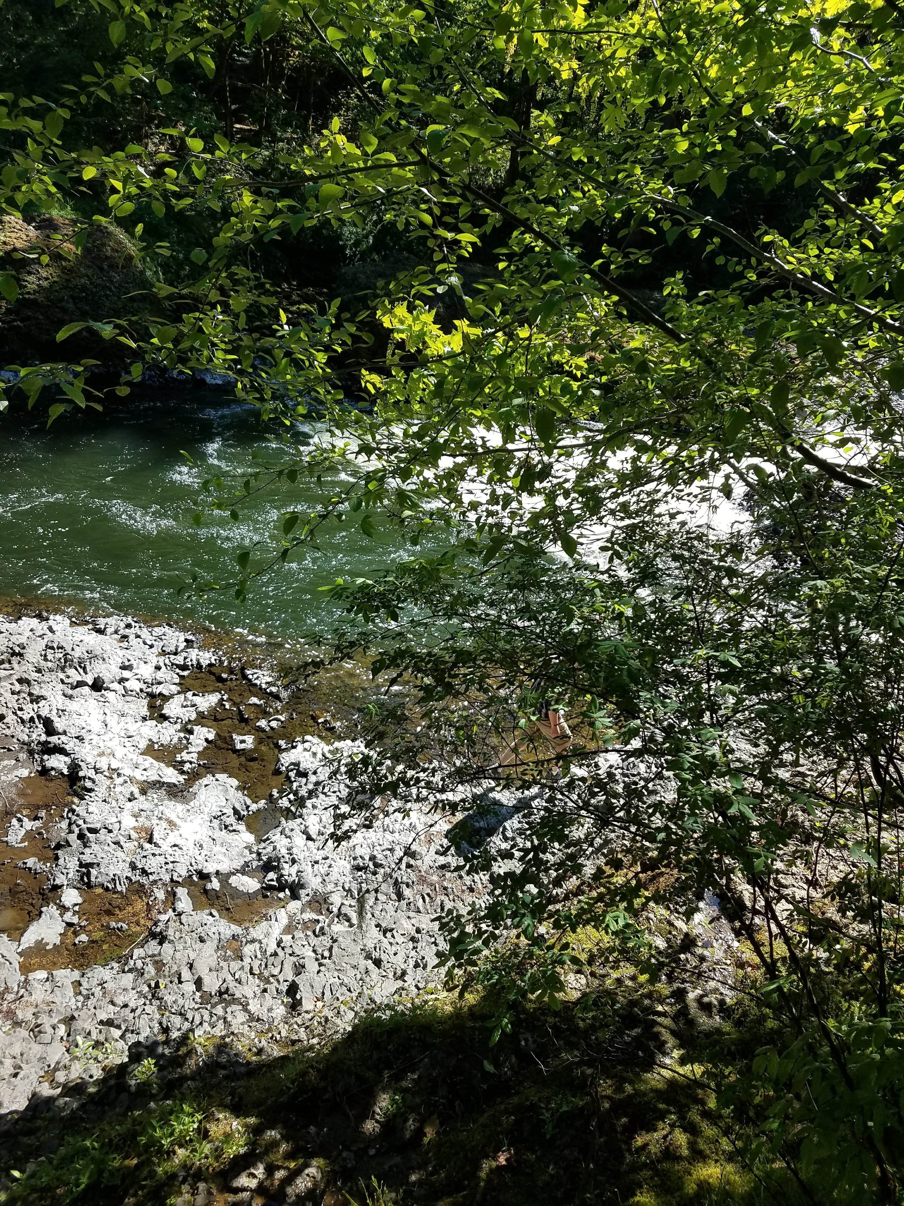 Camper submitted image from Rainbow Falls State Park Campground - 4