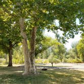 Review photo of Yakima Sportsman State Park Campground by ashley E., July 16, 2018