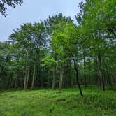 Review photo of Hickory Run State Park Campground by Michael , June 16, 2022