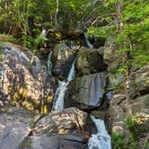 Review photo of Hickory Run State Park Campground by Michael , June 16, 2022