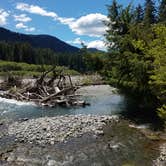 Review photo of Hoh Rain Forest - Olympic National Park by ashley E., July 16, 2018