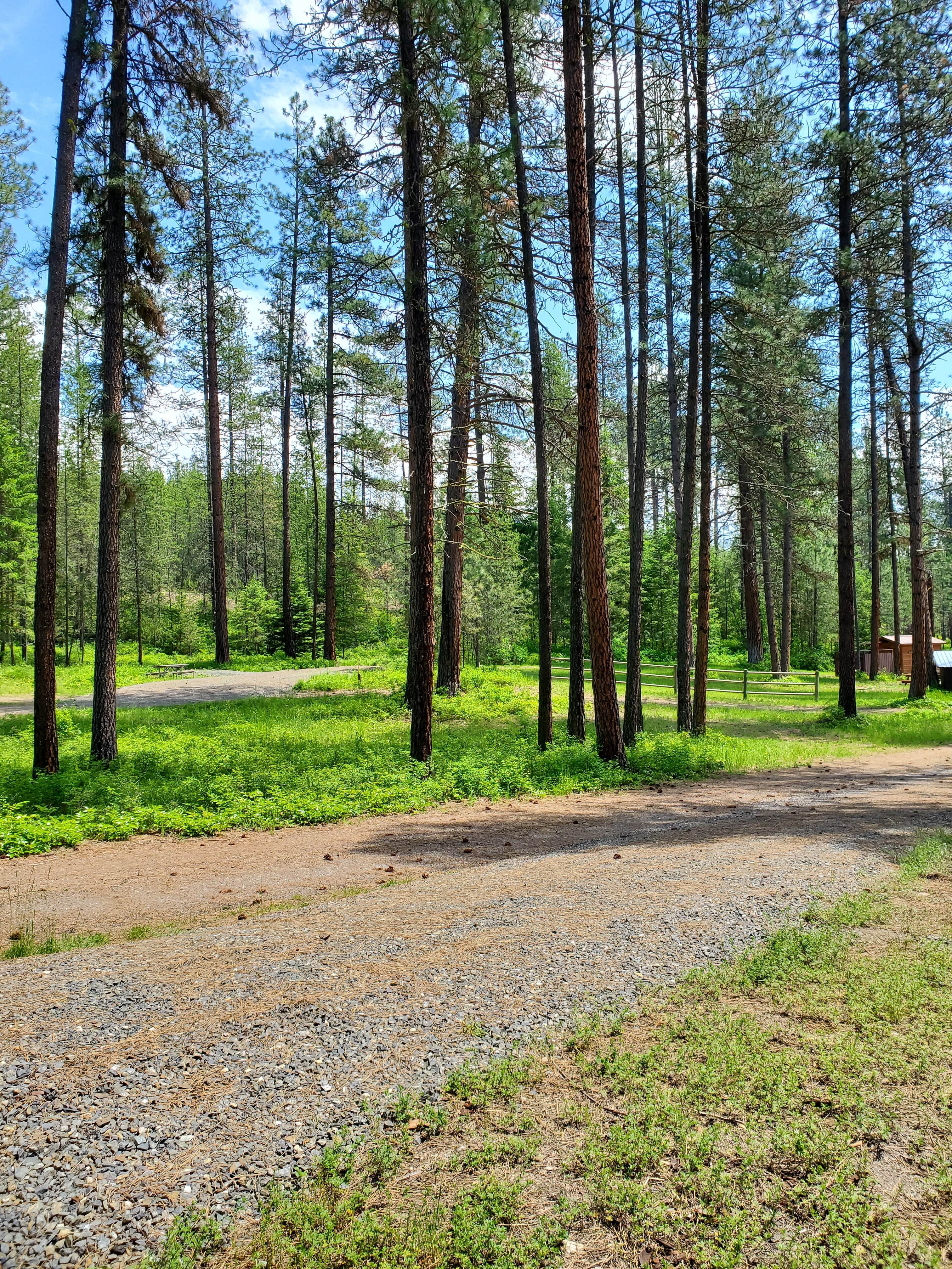 Camper submitted image from Starvation Lake Campground - 3