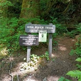 Review photo of Hoh Rain Forest - Olympic National Park by ashley E., July 16, 2018