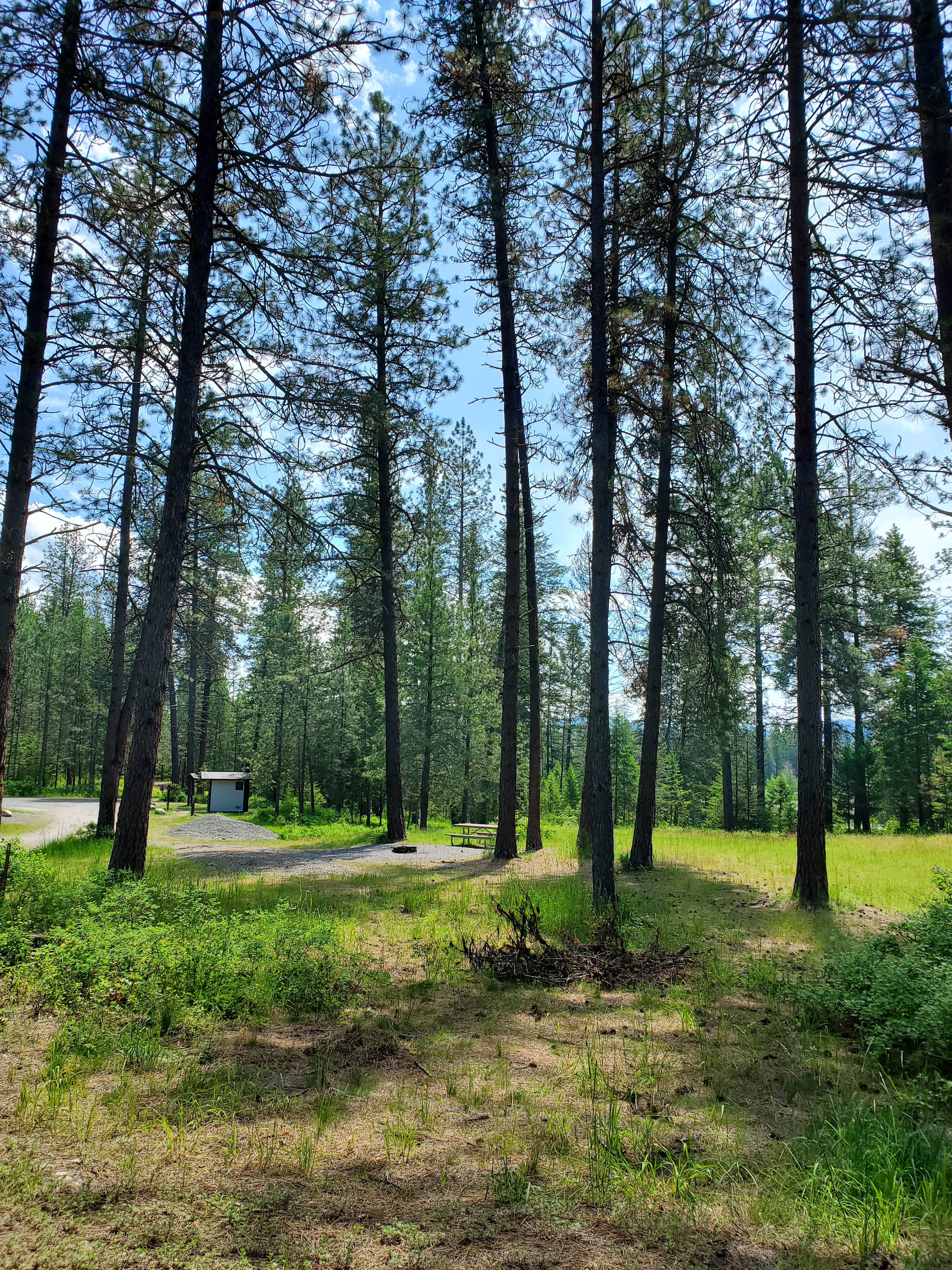 Camper submitted image from Starvation Lake Campground - 2