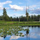 Review photo of Starvation Lake Campground by Nancy R., June 16, 2022