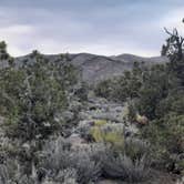 Review photo of Lovell Canyon Dispersed Camping (Spring Mountain) by Amanda R., June 16, 2022