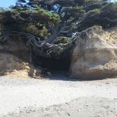 Review photo of Olympic National Park/Kalaloch by ashley E., July 16, 2018