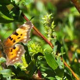 Review photo of Hermosa Park Road 578 -  Dispersed by Jared T., June 16, 2022