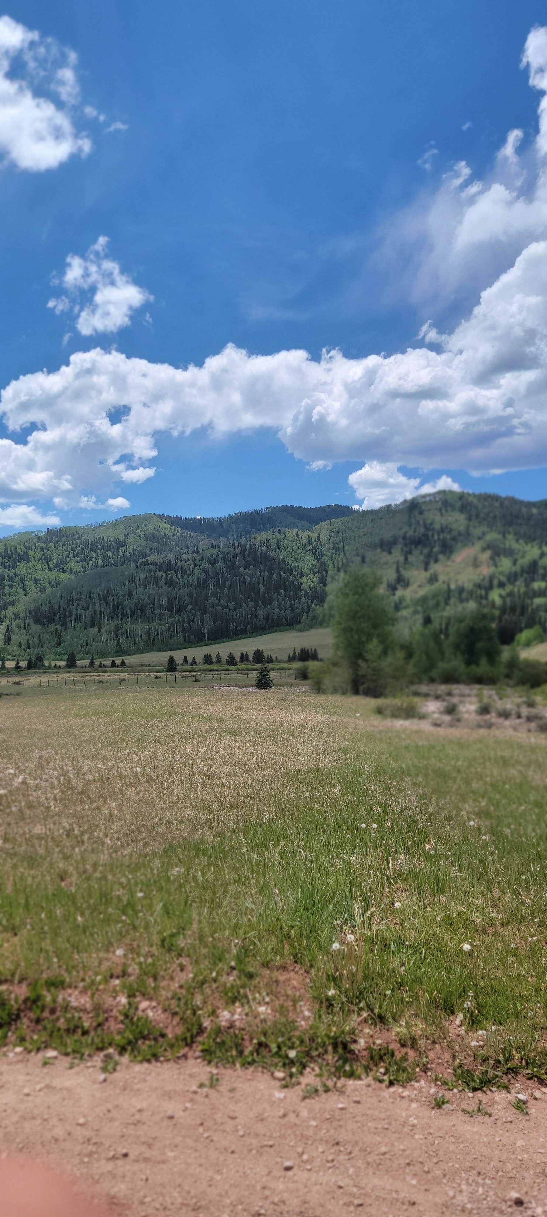 Camper-submitted photo at Hermosa Park Road 578 - Dispersed near Cascade, CO