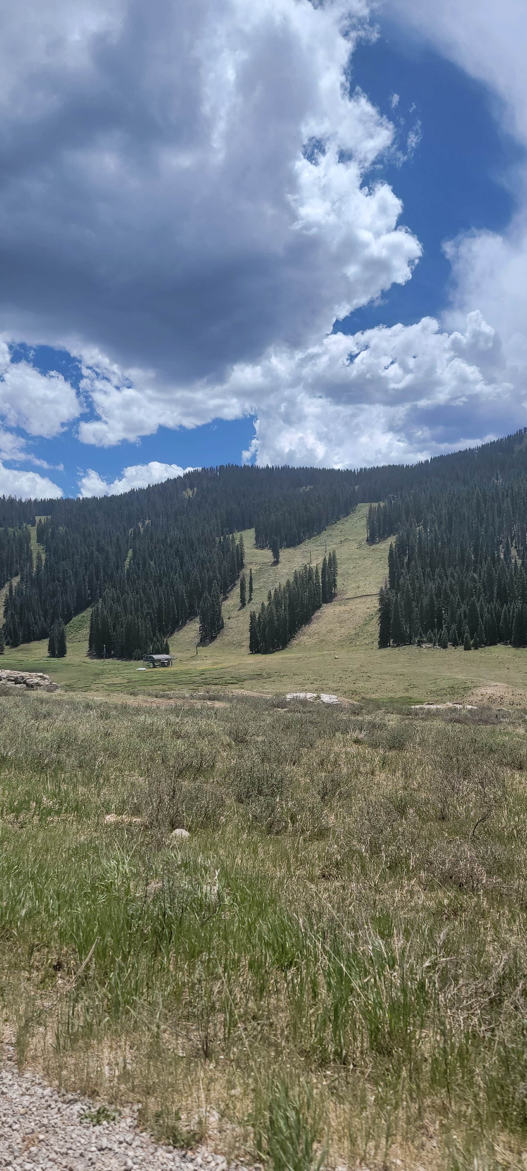 Camper-submitted photo at Hermosa Park Road 578 - Dispersed near Cascade, CO