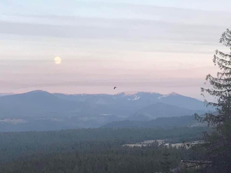 Camper-submitted photo at Parkside Mountain Ranch near Hayden Lake, ID
