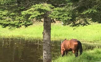Nicole's photo of camping with a horse at Parkside Mountain Ranch near Santa, ID