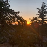 Review photo of Keller Peak Yellow Post Campsites by Steve H., June 16, 2022