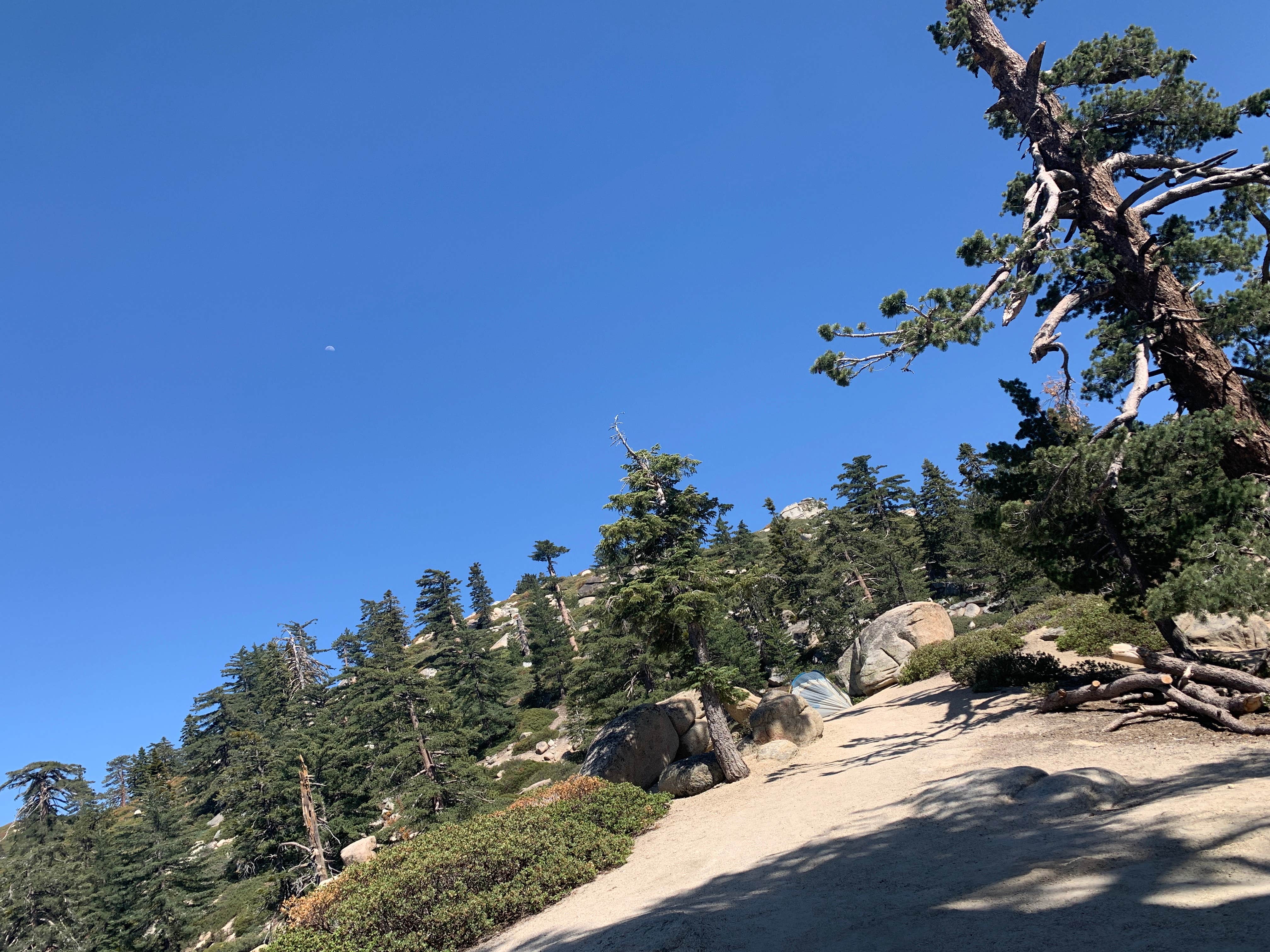 Camper-submitted photo at Keller Peak Yellow Post Campsites near Cedarpines Park, CA