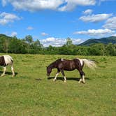 Review photo of Cades Cove Group Campground — Great Smoky Mountains National Park by Bryan W., June 16, 2022