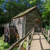 Review photo of Cades Cove Group Campground — Great Smoky Mountains National Park by Bryan W., June 16, 2022