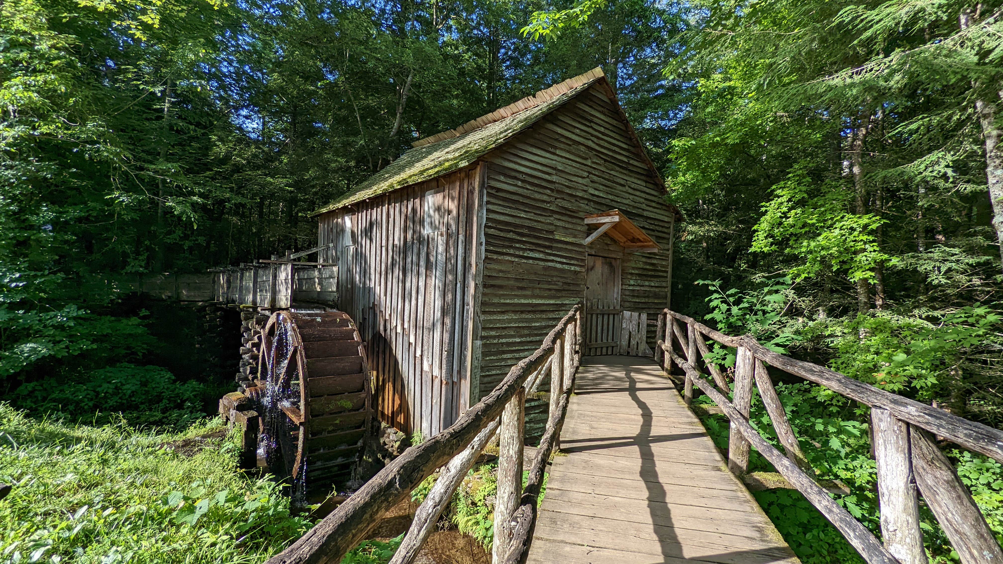 Camper submitted image from Cades Cove Group Campground — Great Smoky Mountains National Park - 5